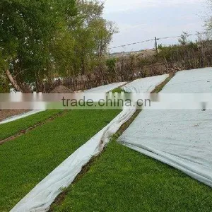 PP Spunbond Nonwoven Fabric for Agriculture thumbnail-1