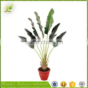 Cheap Price Decorative Artificial Banana Tree From China thumbnail-1