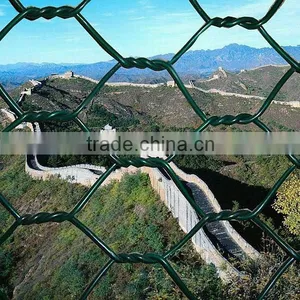 Best Quality Fence Mesh Chicken Wire Mesh 1/2-4 Inch thumbnail-4