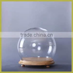 Clear Glass Display Dome thumbnail-1