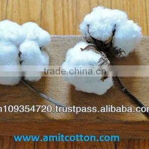 RAW COTTON S-6 thumbnail-1