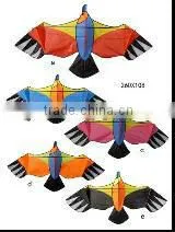Kites thumbnail-1