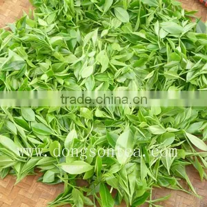 Vietnam Famous Natural GREEN TEA thumbnail-5