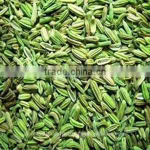 Fennel Seed Oil Sweet thumbnail-1