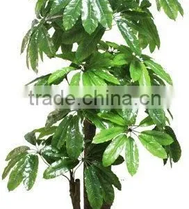 Fake King of Fortune Tree thumbnail-1