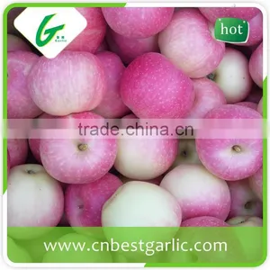 New Crop Class 1 Fresh Royal Gala Apple thumbnail-2