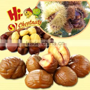 Natural Taste Nut and Kenel Snacks--Ready to Eat Chestnuts Snacks thumbnail-2