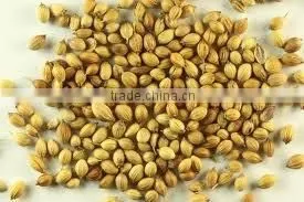 Coriander Seed thumbnail-3