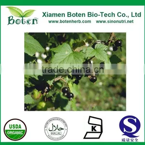 Boten Blackcurrant Extract/ Black Currant Extract thumbnail-2