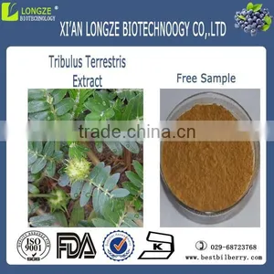 Tribulus Terrestris Extract Saponins 60% thumbnail-1