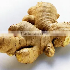 Nissin Condiment,fresh Ginger Paste,low Price Ginger,OEM Factory Foods, thumbnail-3