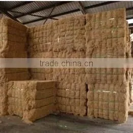 Coconut Fiber Open Processing Machine thumbnail-3