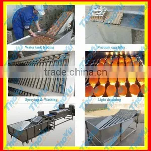 Commercial Egg Breaking Machineegg Breaking Machine 10000pcs/h on Bakery Exhibition +86-133-3371-9169 thumbnail-1