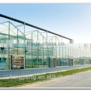 Professional Float/tempered Agricultural Galss Greenhouse (ISO9001:2000) thumbnail-1