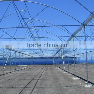 Agricultural Greenhouses Used Sale Steel Structure Greenhouse thumbnail-1