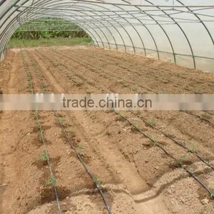 Polythene Film Solar Greenhouse For Vegetables thumbnail-6
