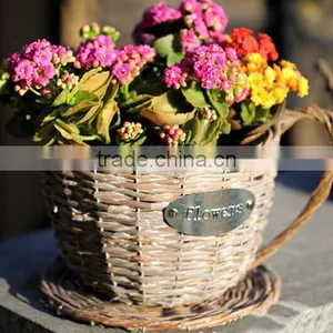 Handmade Plastic Lined Antique Wicker Tea Cup Flower Plant Pot Decorative Plant Pots Indoor thumbnail-1