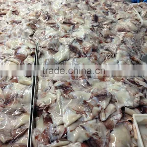 Frozen Squid Wing thumbnail-5