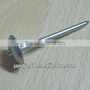Galvanized Roofing Felt Nails From Guangzhou Supplier thumbnail-1
