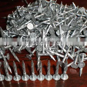 Galvanized Square Boat Nails thumbnail-1