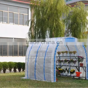 Domed Style Greenhouse, Garden Greenhouse, Garden Storage Shet thumbnail-4