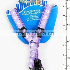 PET Safty thumbnail-1