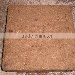 Cocopeat Coir thumbnail-1