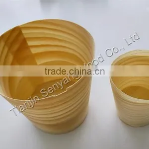 Best Seller Disposable Party Japanese Sushi Wood Plate thumbnail-4