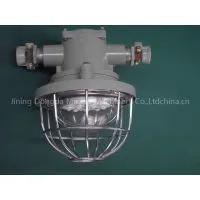 Mining Explosion Proof LED Roadway Lamp thumbnail-1