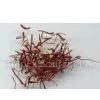 Safran, Saffron, Crocus thumbnail-1