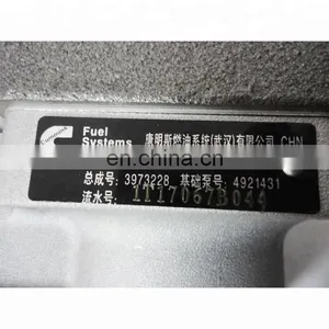 ISLE Fuel Pump Diesel Engine Fuel Injection Pump 3973228 thumbnail-4
