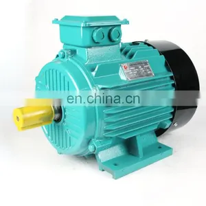 Electric Motor for Wood Machinery thumbnail-1
