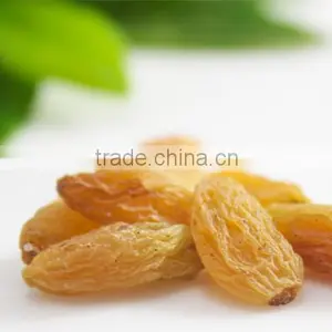 Green Dried Raisin Good Quality thumbnail-1