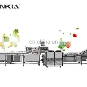 Automatic Vegetable Blanching Machine Fruit Processing Fruit Vegetable Blanching Machine thumbnail-3