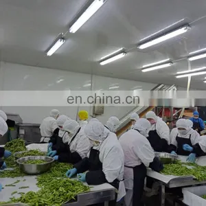 Sinochorm A Grade Wholesale Good Quality IQF Frozen Green Edamame Soy Bean Green thumbnail-3