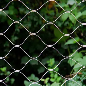 Scenic Protection Stainless Steel Wire Mesh Factory, 100 Birds Garden Stainless Steel Wire Mesh thumbnail-1