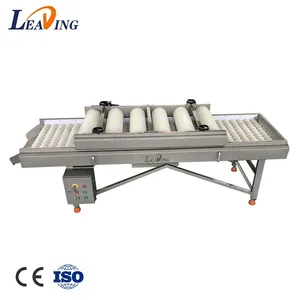 Turnkey Solution Industrial Automatic Palm Dates Processing Machine Whole Line Dates Washing Grading Pitting Packing Machine thumbnail-5