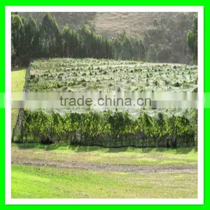 Supply Vineyard Anti Bird Net/bird Capture Nets With Low Price thumbnail-5