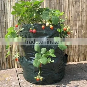 8 Pocket Strawberry Planter Bag,Strawberry Growing Planting Bag,Strawberry Planter thumbnail-1