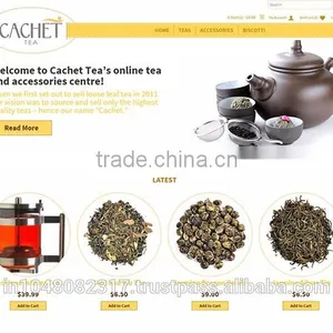 Website Design and Development in India Delhi thumbnail-6