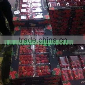 Fresh Strawberry thumbnail-2