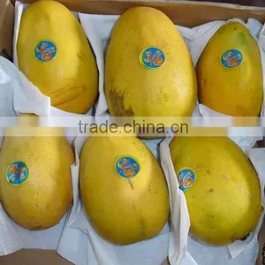 Mango thumbnail-1