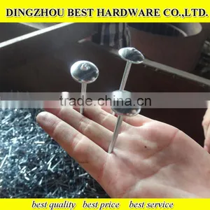 GI Roofing Nail Galvanized Roofing Nail thumbnail-3