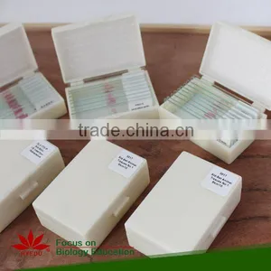 Microscope Prepared Slides ,Seed Slides, Seedling Prepared Slides thumbnail-3