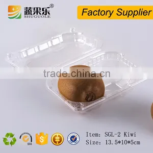 Disposable Plastic Kiwi Container 2 Slot PET Container thumbnail-3