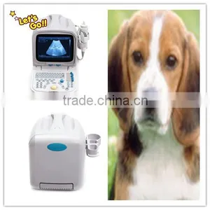 2015 Popular Portable Ultrasonic Machine VET Veterinary Ultrasound Scanner RUS-9000V2 With Convex Rectal Probe thumbnail-1