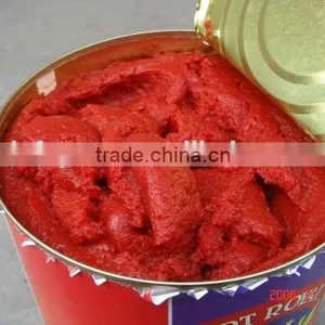 Tomato Paste thumbnail-3