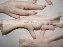 Frozen Chicken Feet thumbnail-1