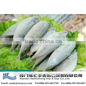 High Quality Frozen Sardine for Sale thumbnail-1