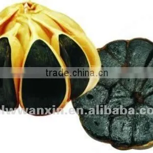 Chinese Black Garlic thumbnail-1